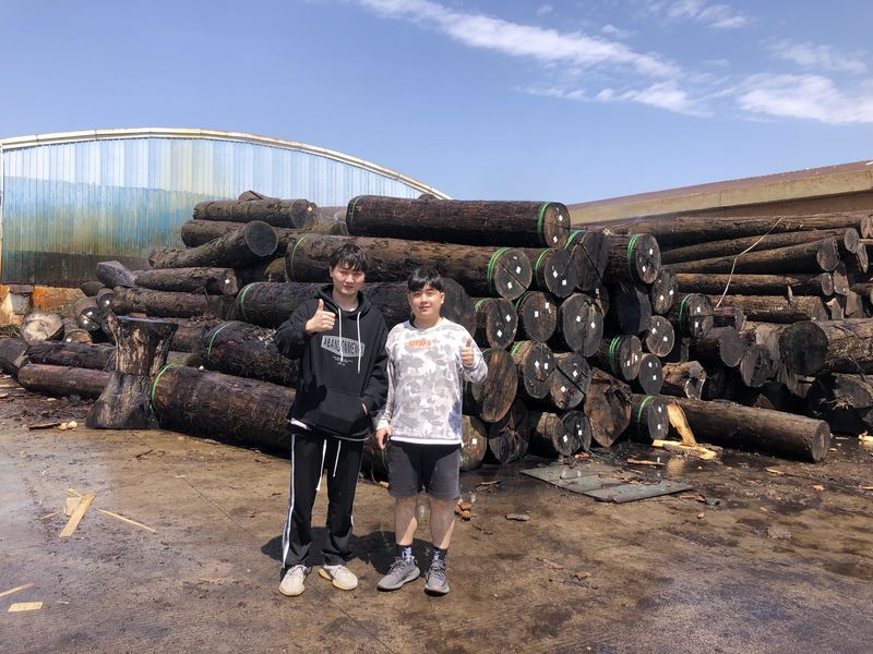 Dongguan Lingfeng Wood Industry Co., Ltd. linha de produção do fabricante
