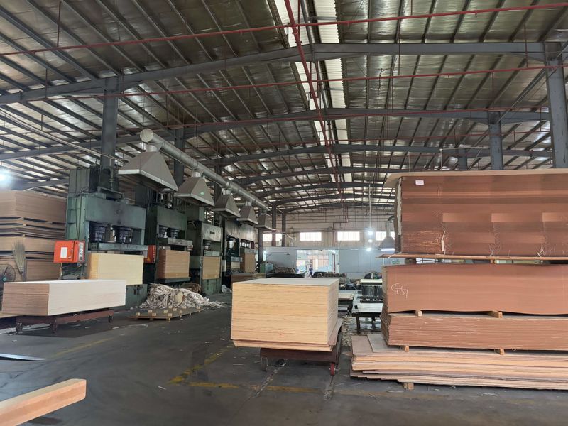 Dongguan Lingfeng Wood Industry Co., Ltd. linha de produção do fabricante