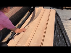 Carvão de Carvalho Branco Americano