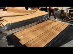 Corte de coroa de verniz de teca